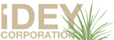 IDEY CORPORATION